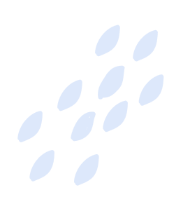 Bilgi Köprüsü Eğitim Kurumları